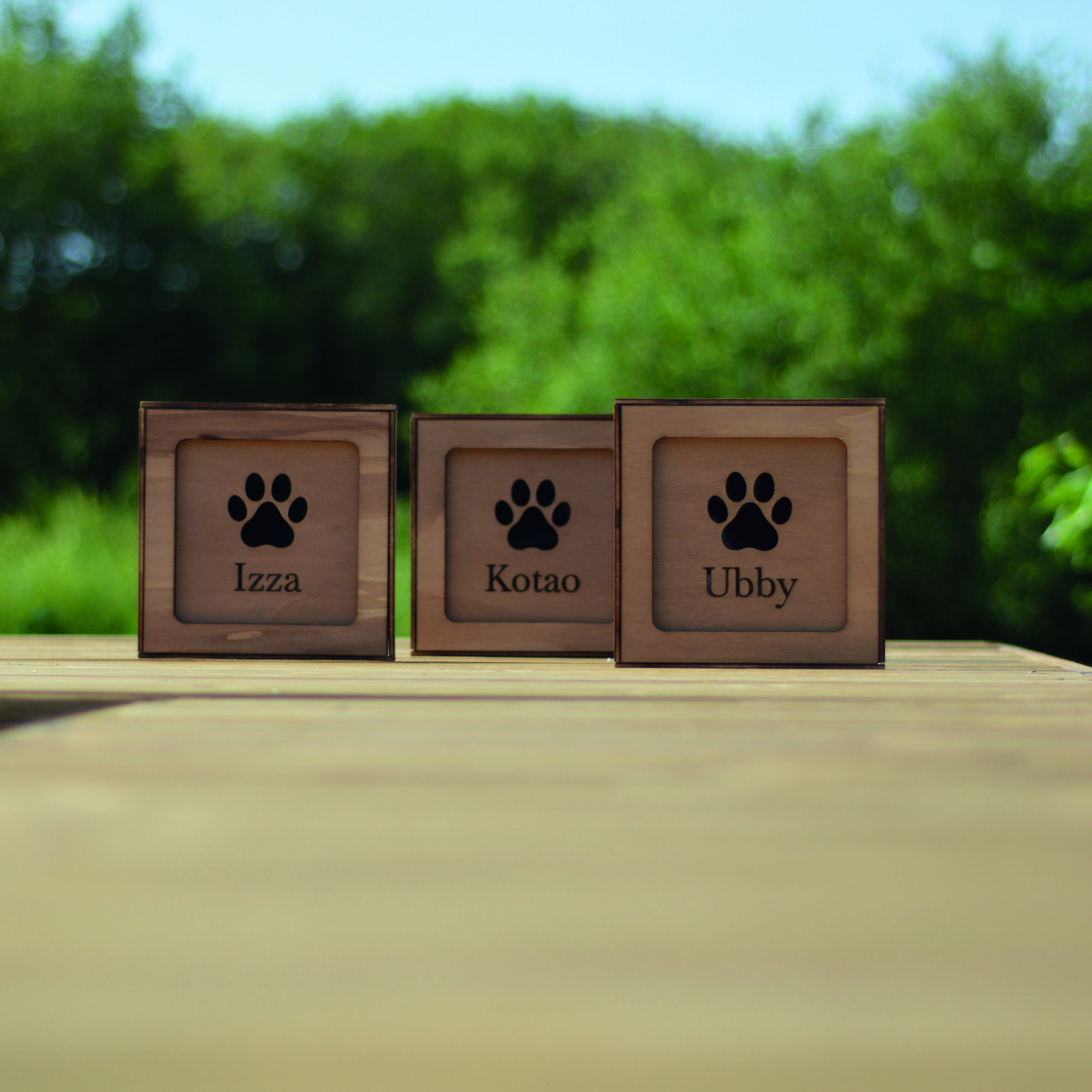 Boite décorative patte de chien