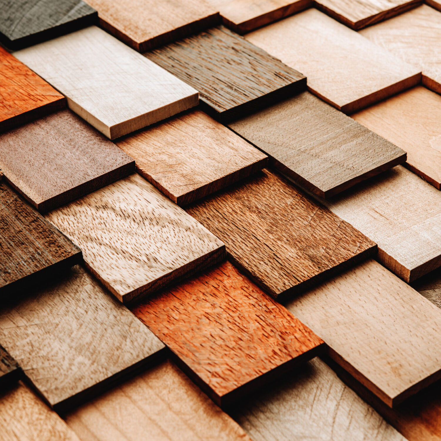 Set of exotic valuable wood for the catalog, texture and structure of the material